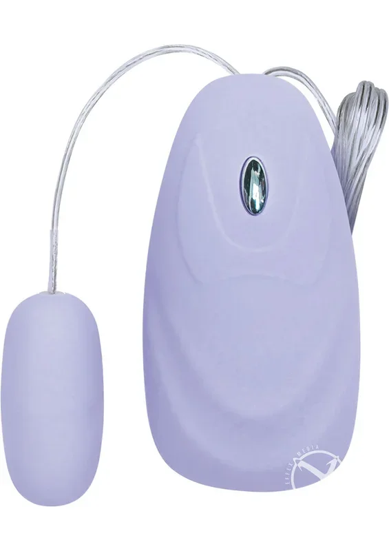 B12 12-Function Bullet With Wired Controller