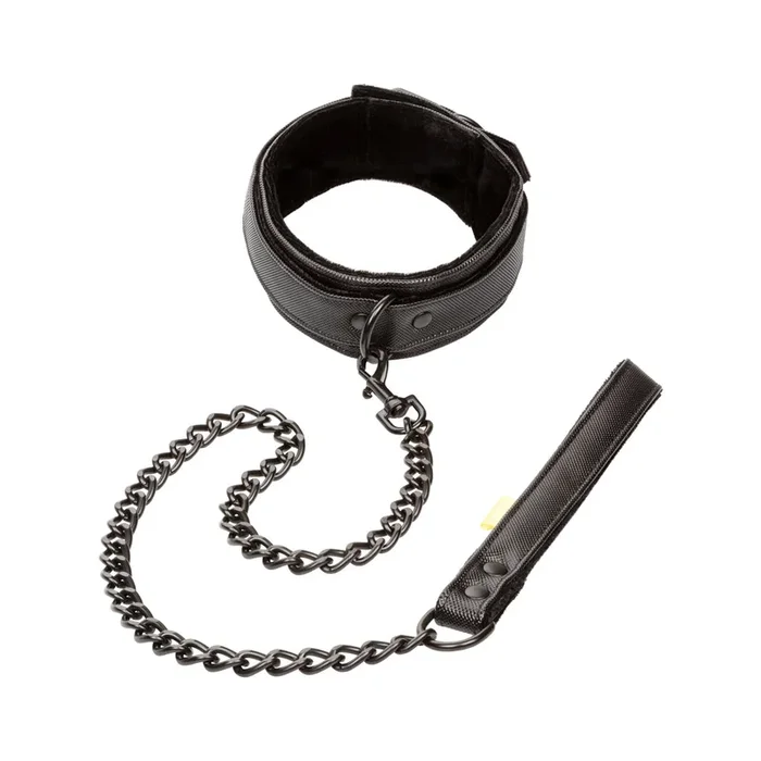 Boundless Collar & Leash