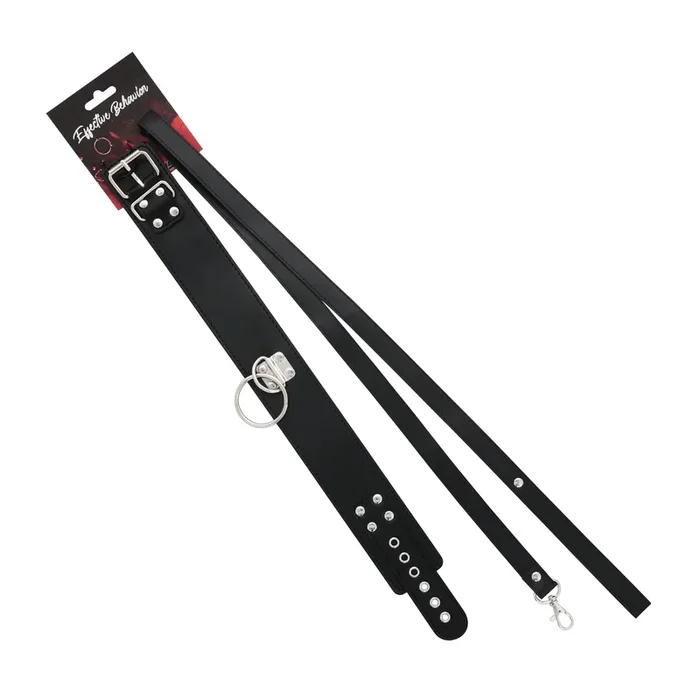 COLLAR BLACK PVC W/PVC LEASH