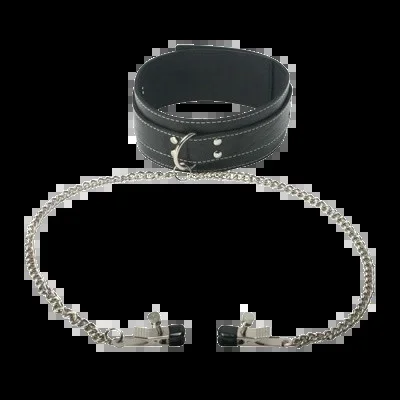 Coveted Collar and Clamp Union