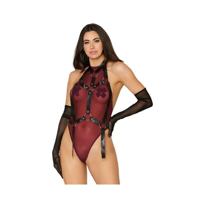 DG HighNeckTeddy&BodyHarness BurBlk S