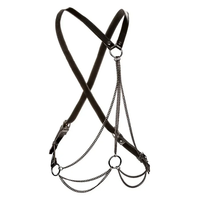 Euphoria Collection Plus Size Multi Chain Harness – Black