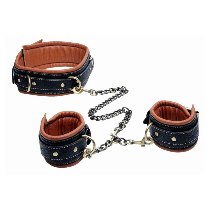 Master Series Coax Collar to Wrist Restraints