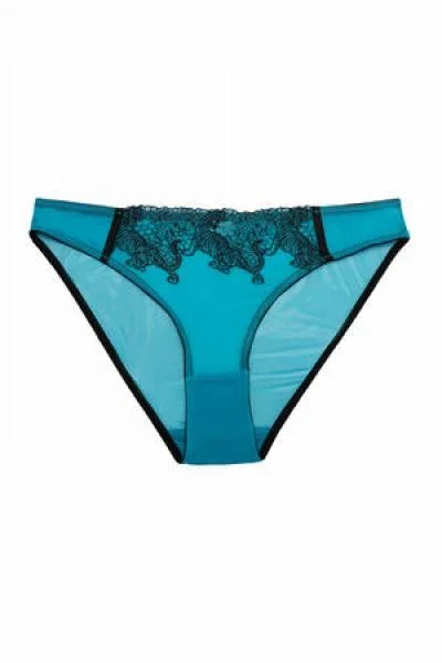 Playful Promises Tiger Blue Hipster Brief – Size US