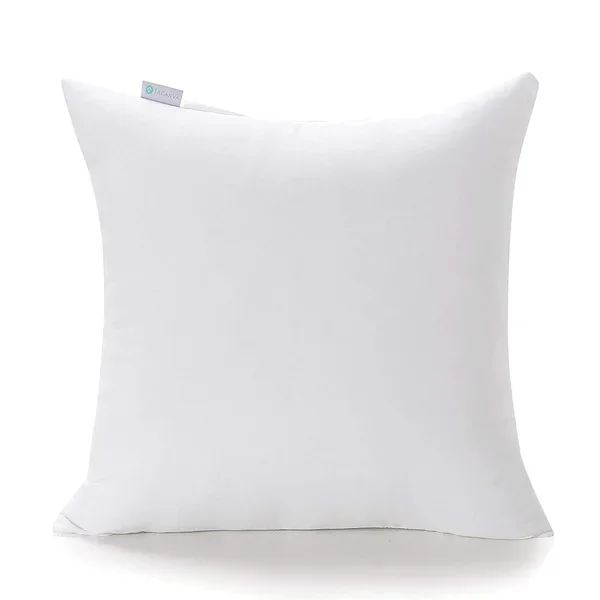 Premium Polyester Stuffer Square Form Sham Throw Pillow Inserts, 20 In(1 Count