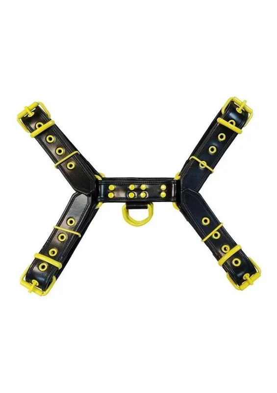 Rouge Harness Black with Yellow Accessories