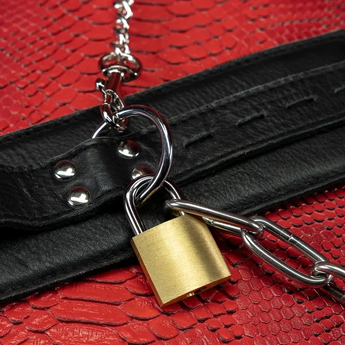 Secure Bondage Padlocks by KINK