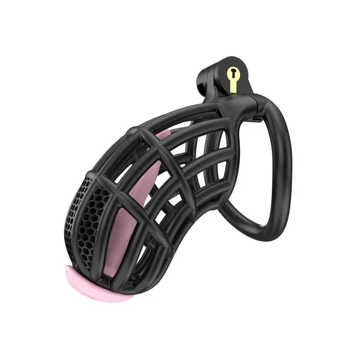 Sentinel – Cock Cage with 5 Sizes & Colors