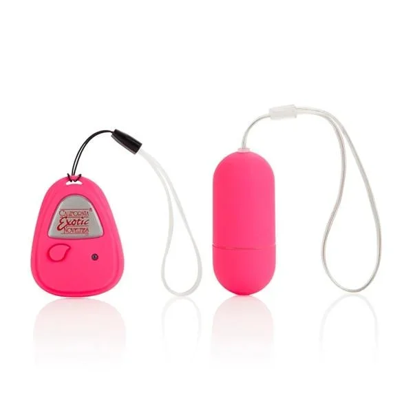 Shane’s World Hookup Remote Control Egg Vibe