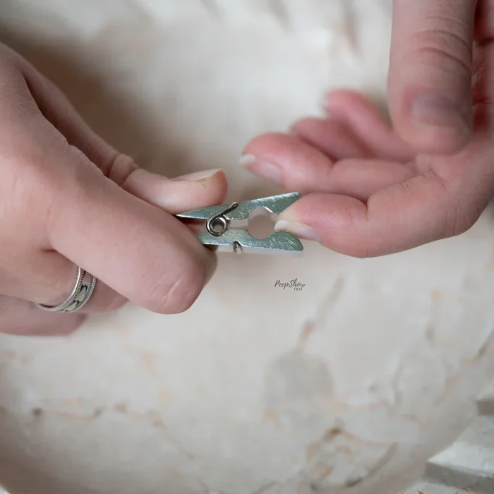 Stainless Steel Nipple Pegs by Rouge