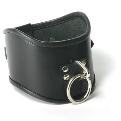 Strict Leather Posture BDSM Collar