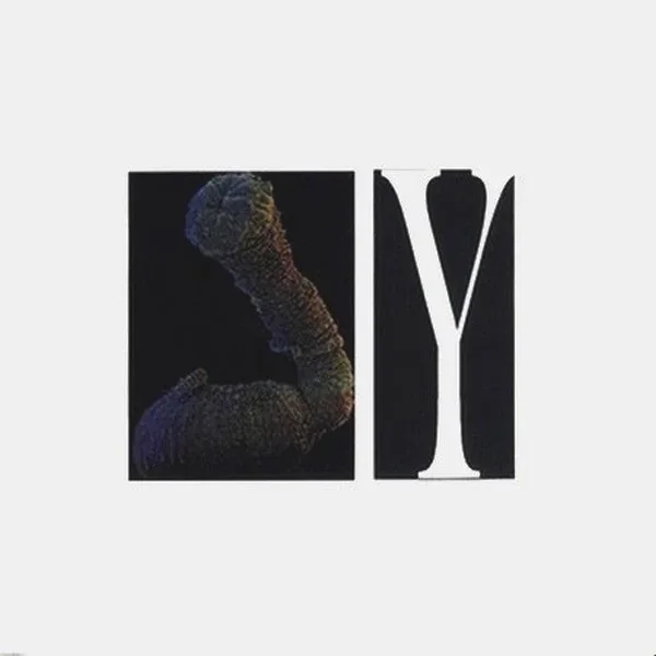 Y: S/T 7″