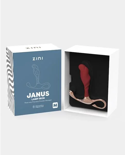 Zini Janus Lamp Iron – Medium Maroon