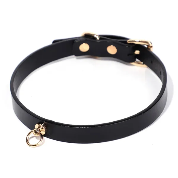 ZYL Genuine Leather O-Ring Day Collar